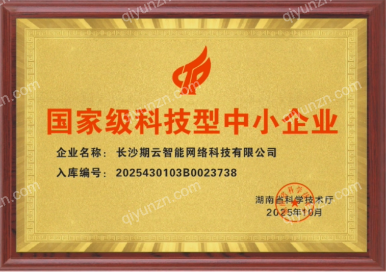 国家级科技型中小企业